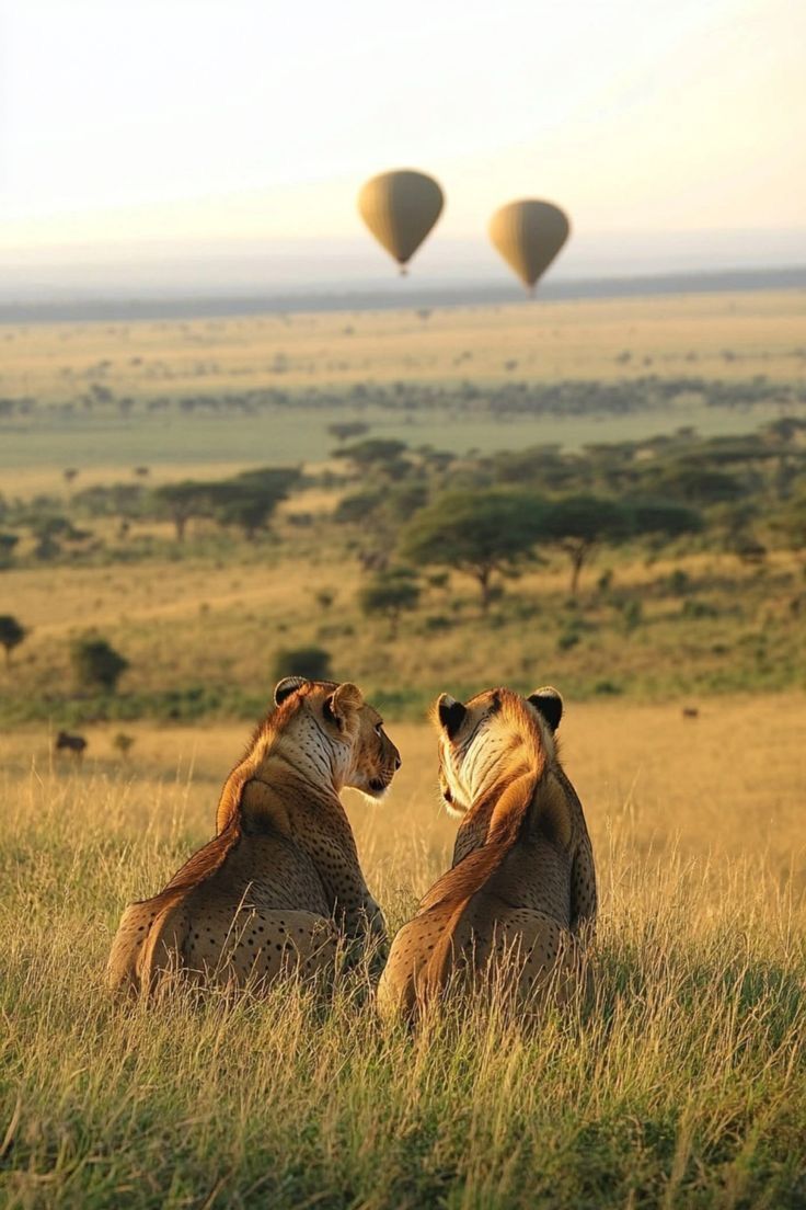 2-Days Zanzibar to Tarangire and Ngorongoro Luxury safari